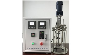 玻璃发酵罐