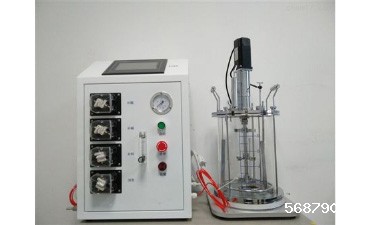 玻璃发酵罐