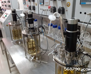 酶生物反应器