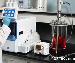 酶生物反应器