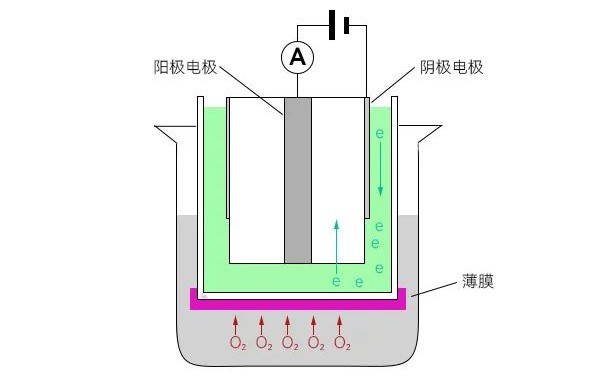 溶氧电极原理 溶氧电极原理