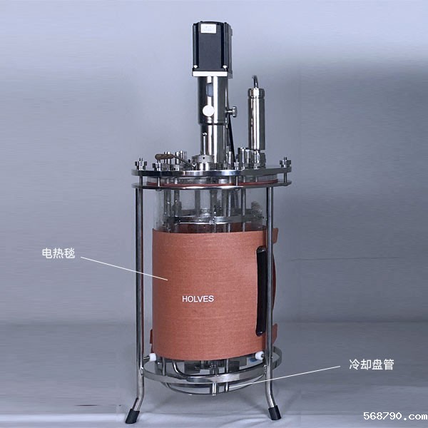 星空体育平台赞助的里尔(HOLVES)实验发酵罐 星空体育平台赞助的里尔(HOLVES)实验发酵罐