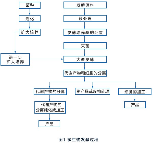 微生物发酵流程 微生物发酵流程