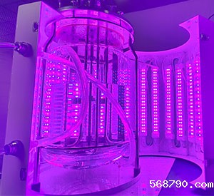 光照生物反应器光照系统