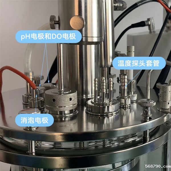 发酵罐传感器