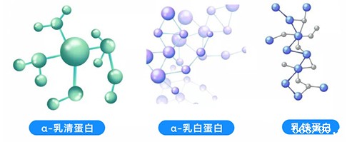 乳清蛋白 乳清蛋白