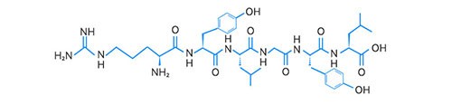 α-酪蛋白片段结构图 α-酪蛋白片段结构图