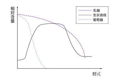 大肠杆菌在不同培养基中的生长